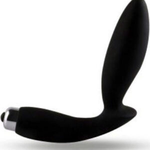 Anal Stimulator Secret Soulmate Prostatavibraattori