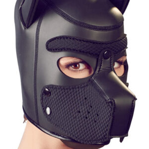 Bad Kitty BK Dog Mask
