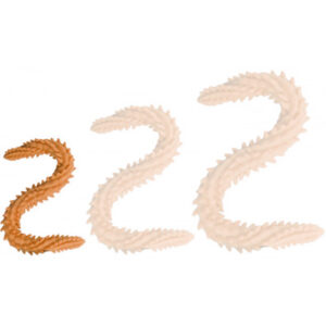 DoublePlayz Double Dildo Scolop Orange 40 cm Extra pitkä anaalidildo