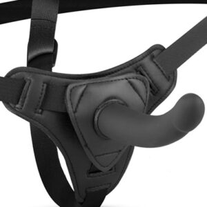 Easytoys Silicone Strap-On Smooth Strap-on valjailla