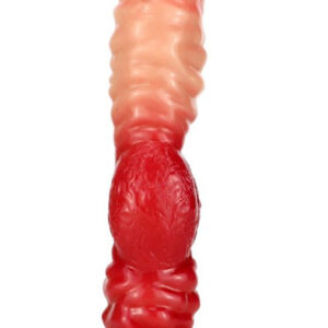 Fxdragon Dugg Dragon Dildo 20 cm Dragon Dildo