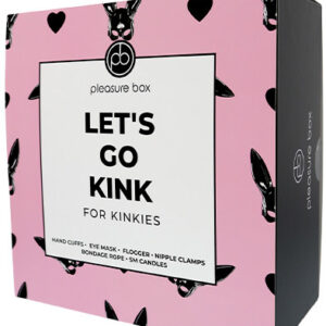 Let’s Go Kink Pleasure Box for Kinkies Bondage kitti