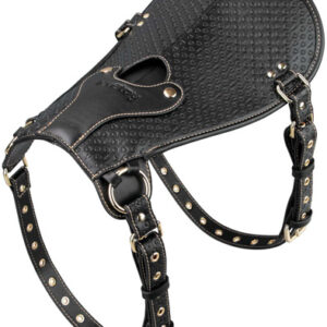 Lovetoy Rebellion Reign Dildo Saddle Strap-on valjailla