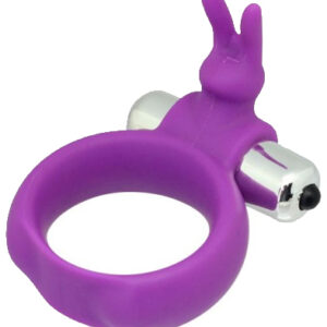 TOYZ4LOVERS Timeless Vibring Purple Penisrengas vibraattorilla