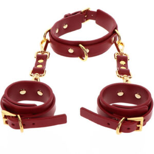 Taboom D-Ring Collar & Wrist Cuffs Käsiraudat&kaulakoru