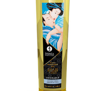 Shunga Massage Oil Adorable Coconut 240ml Kookos Hierontaöljy