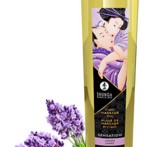 Shunga Massage Oil Sensation Lavender 240ml Hierontaöljy laventeli